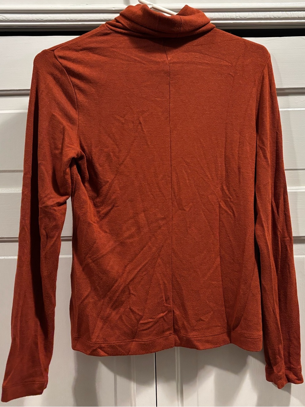 Women's Banana Republic Rust Turtleneck
